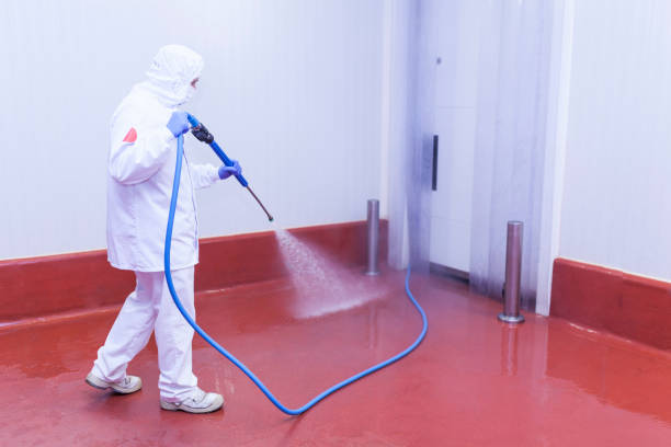 Best Solar Panel Cleaning  in Chesnut Hill, PA