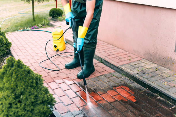 Best Dumpster Area Cleaning  in Chesnut Hill, PA