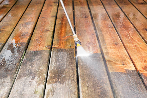 Best Driveway Pressure Washing  in Chesnut Hill, PA